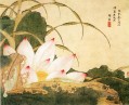 Xiesun Lotus Chinesische Malerei